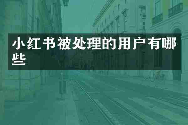 小红书被处理的用户有哪些