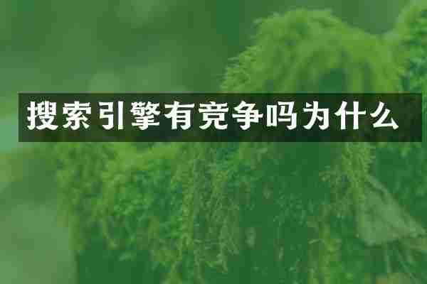 搜索引擎有竞争吗为什么