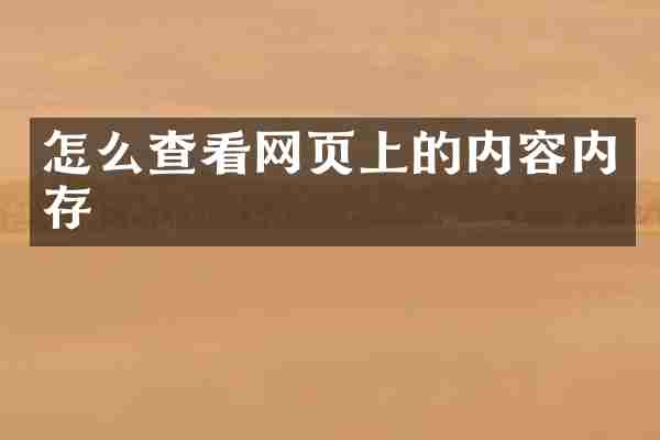 怎么查看网页上的内容内存