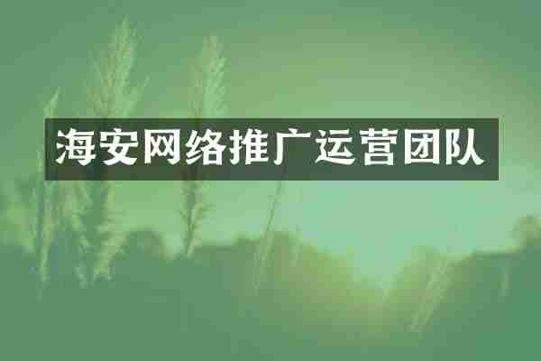海安网络推广运营团队