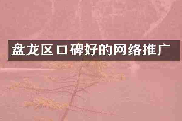 盘龙区口碑好的网络推广