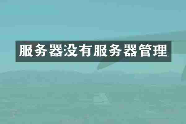 服务器没有服务器管理
