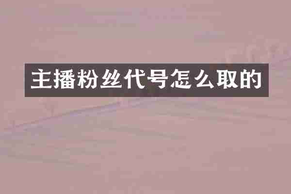 主播粉丝代号怎么取的