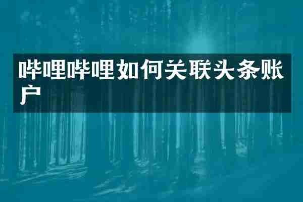 哔哩哔哩如何关联头条账户