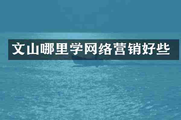 文山哪里学网络营销好些