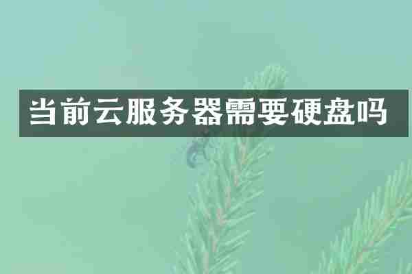 当前云服务器需要硬盘吗