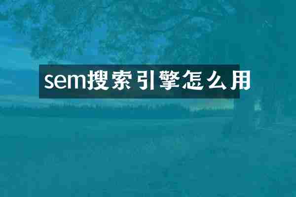 sem搜索引擎怎么用