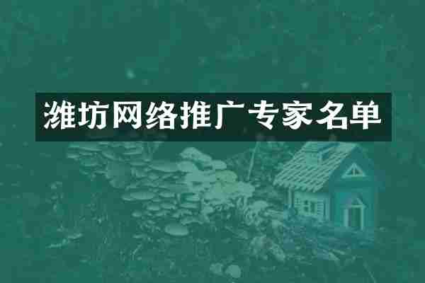 潍坊网络推广专家名单