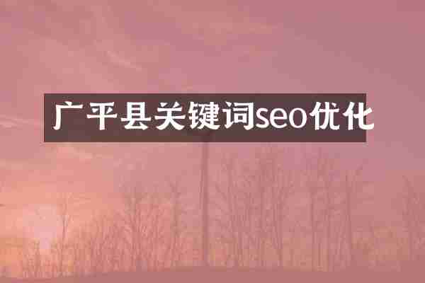 广平县关键词seo优化