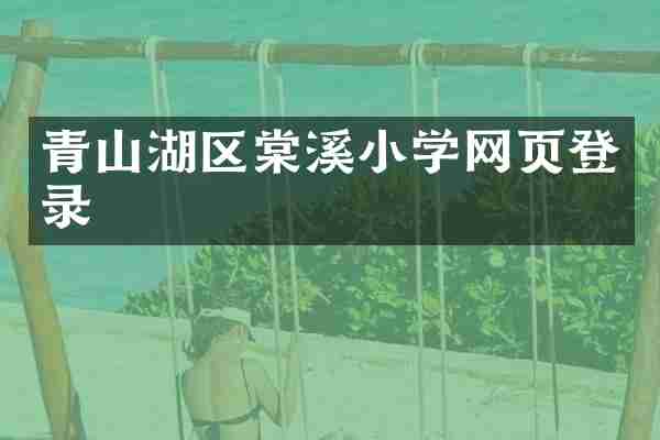 青山湖区棠溪小学网页登录