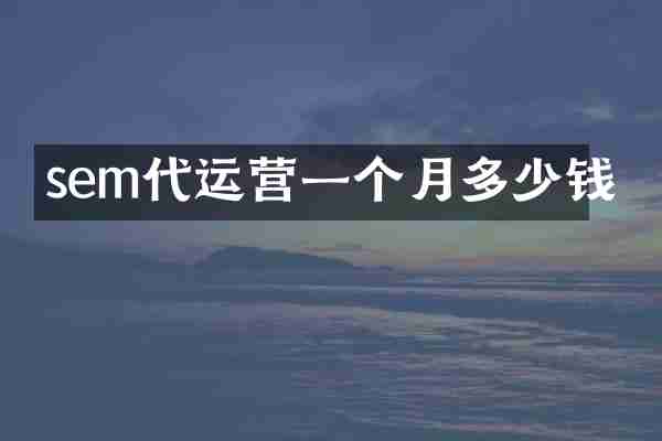 sem代运营一个月多少钱