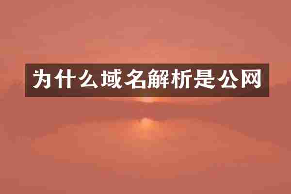 为什么域名解析是公网