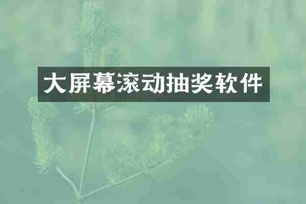 大屏幕滚动抽奖软件