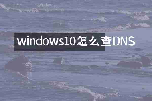 windows10怎么查DNS