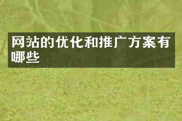 网站的优化和推广方案有哪些