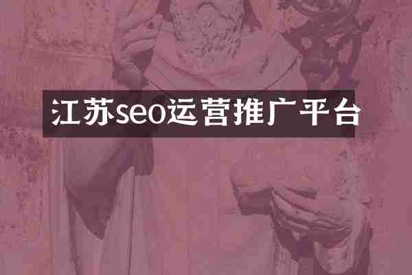 江苏seo运营推广平台