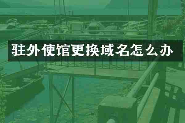 驻外使馆更换域名怎么办