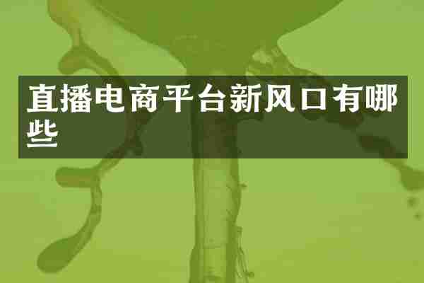 直播电商平台新风口有哪些