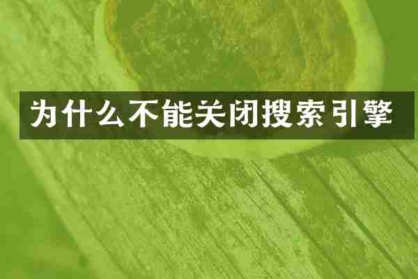 为什么不能关闭搜索引擎