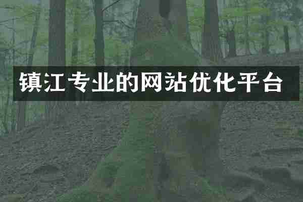 镇江专业的网站优化平台