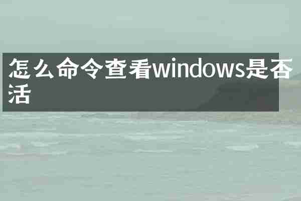怎么命令查看windows是否激活