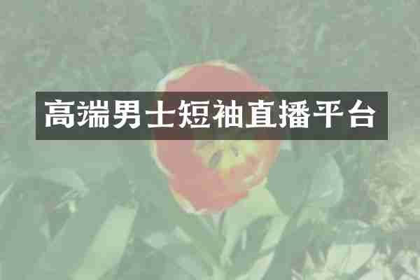 高端男士短袖直播平台