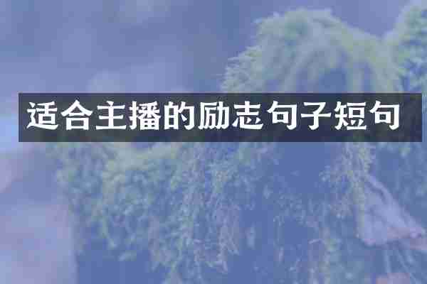 适合主播的励志句子短句