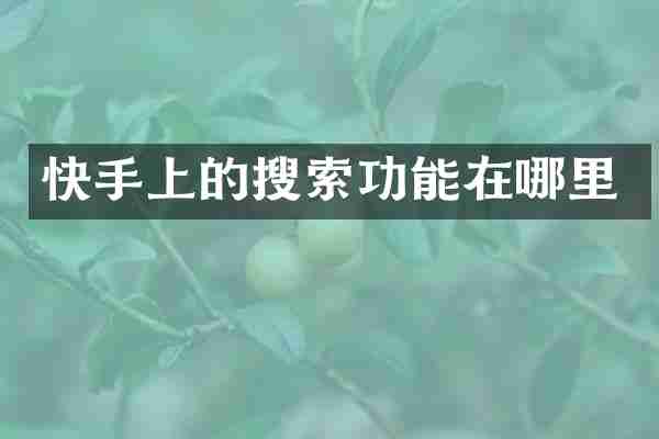 快手上的搜索功能在哪里