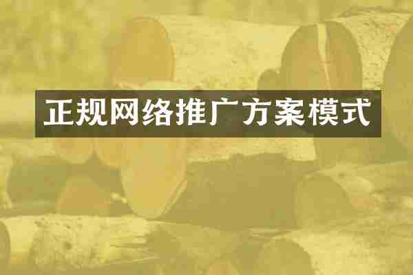 正规网络推广方案模式