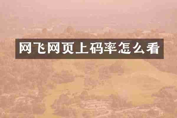 网飞网页上码率怎么看