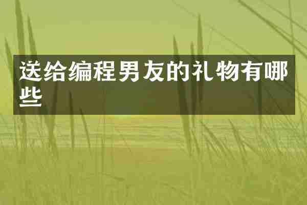 送给编程男友的礼物有哪些