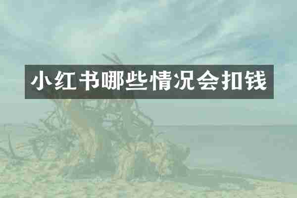 小红书哪些情况会扣钱