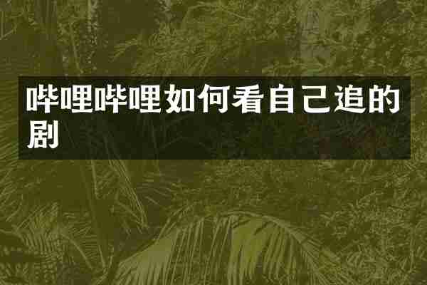 哔哩哔哩如何看自己追的剧