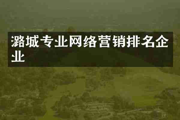潞城专业网络营销排名企业