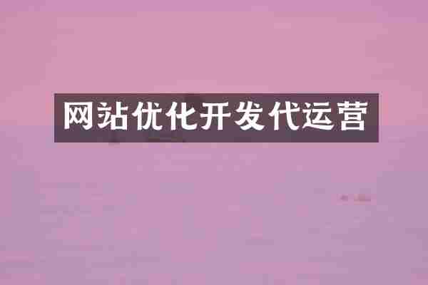 网站优化开发代运营