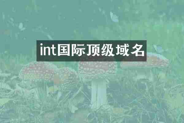 int国际顶级域名