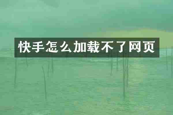 快手怎么加载不了网页
