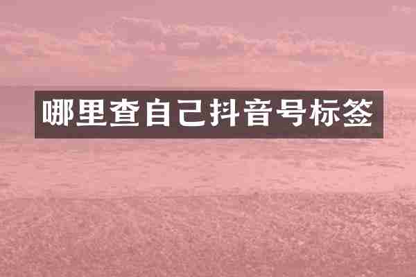 哪里查自己抖音号标签