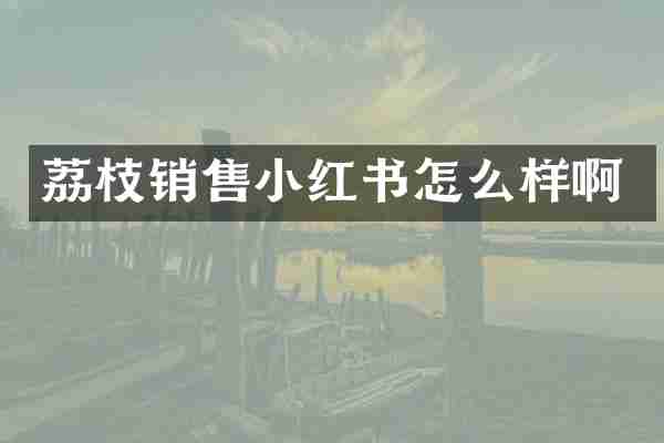 荔枝销售小红书怎么样啊