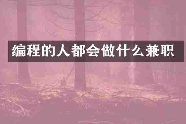 编程的人都会做什么兼职