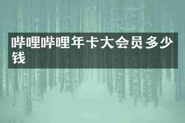 哔哩哔哩年卡大会员多少钱