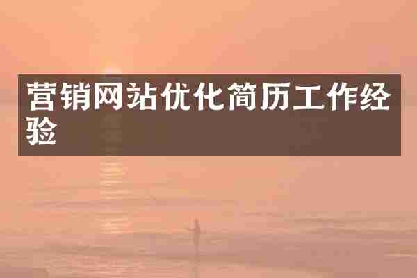 营销网站优化简历工作经验