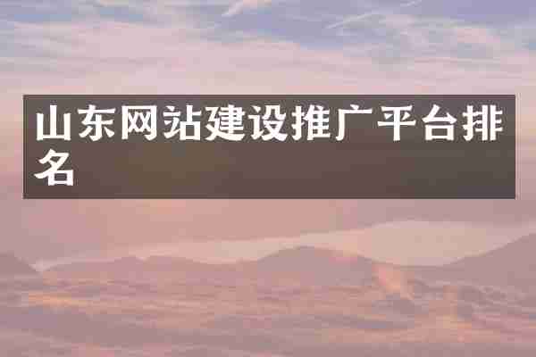 山东网站建设推广平台排名