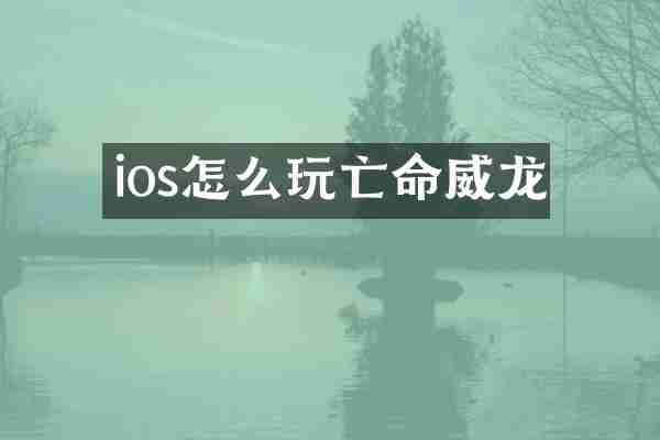 ios怎么玩亡命威龙