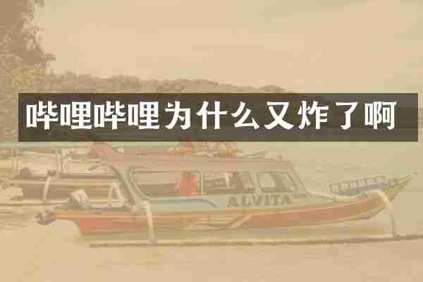 哔哩哔哩为什么又炸了啊