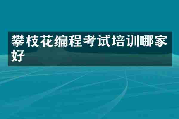 攀枝花编程考试培训哪家好