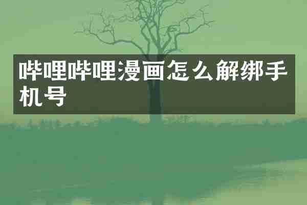 哔哩哔哩漫画怎么解绑手机号