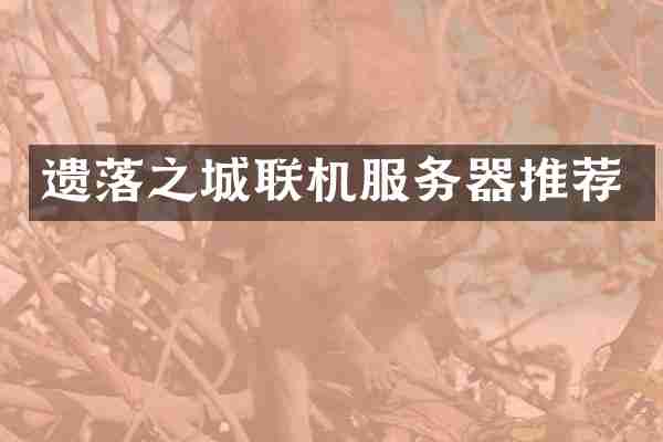 遗落之城联机服务器推荐