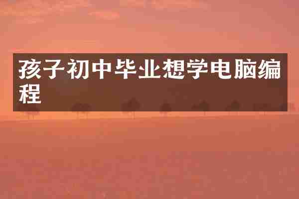 孩子初中毕业想学电脑编程