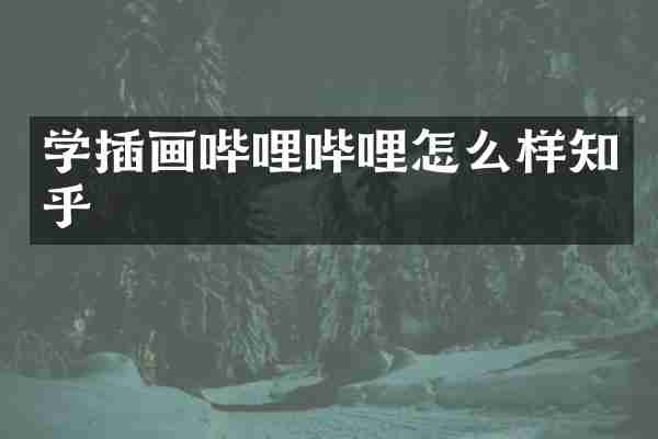 学插画哔哩哔哩怎么样知乎